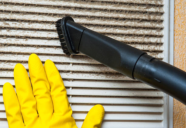 Best Professional Duct Cleaning Services  in Vero Beach South, FL